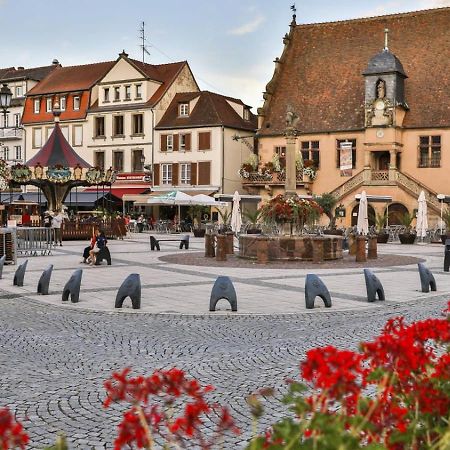 Studio Cosy A Molsheim Calme, Centre-Ville Et Acces Strasbourg Eksteriør bilde