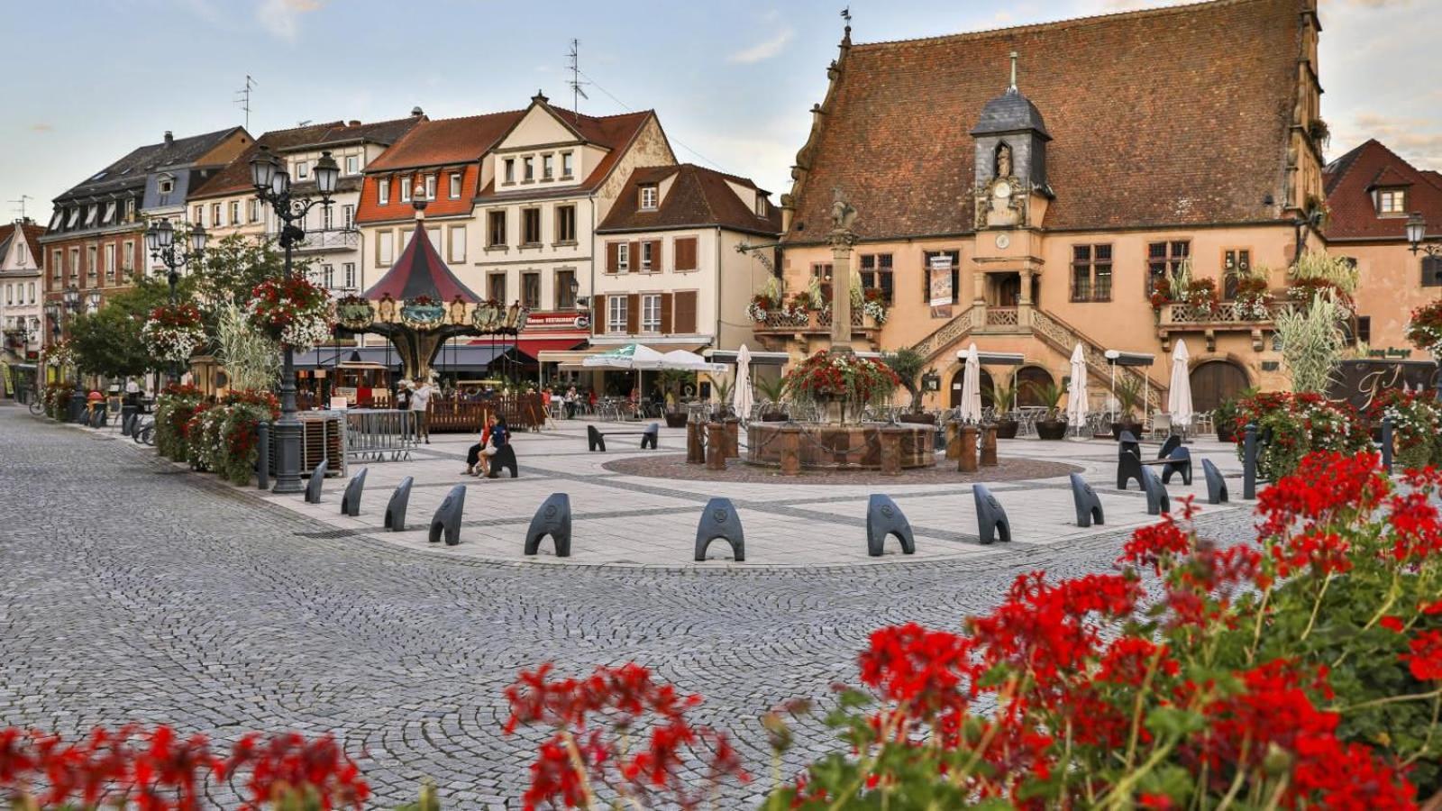 Studio Cosy A Molsheim Calme, Centre-Ville Et Acces Strasbourg Eksteriør bilde